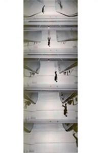 Image de Peter Fischli Addition, Subtraction, Multiplication /anglais