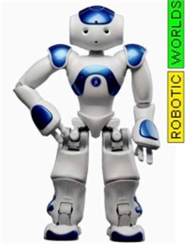 Picture of Robotic Worlds /anglais