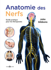 Image de Anatomie des nerfs