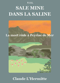 Image de Sale mine dans la saline