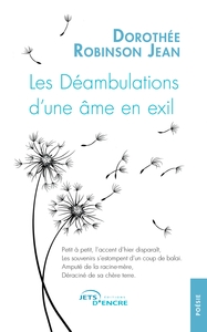 Picture of Les Déambulations d'une âme en exil