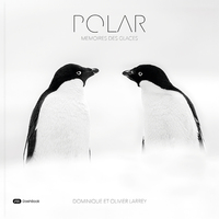 Picture of Polar