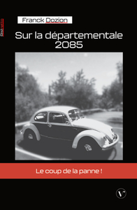 Picture of Sur la départementale 2085