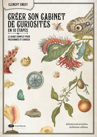 Image de Créer son cabinet de curiosités en 10 étapes