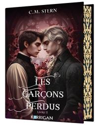 Picture of Les garçons perdus T2