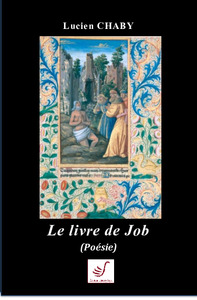 Image de LE LIVRE DE JOB