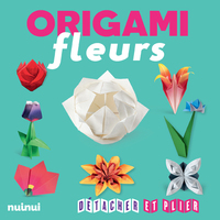Picture of Origami fleurs