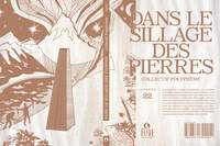 Picture of DANS LE SILLAGE DES PIERRES