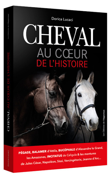 Picture of Cheval Au coeur de l'histoire