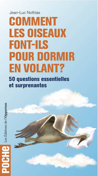 Picture of Comment les oiseaux font-ils pour dormir en volant ?