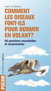 Picture of Comment les oiseaux font-ils pour dormir en volant ?