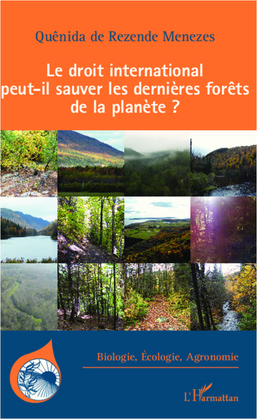 Picture of Le droit international peut-il sauver les dernières forêts de la planète ?