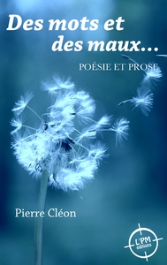 Picture of Des mots et des maux