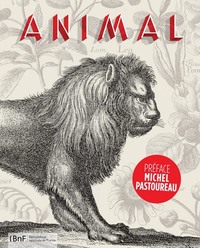Picture of Animal