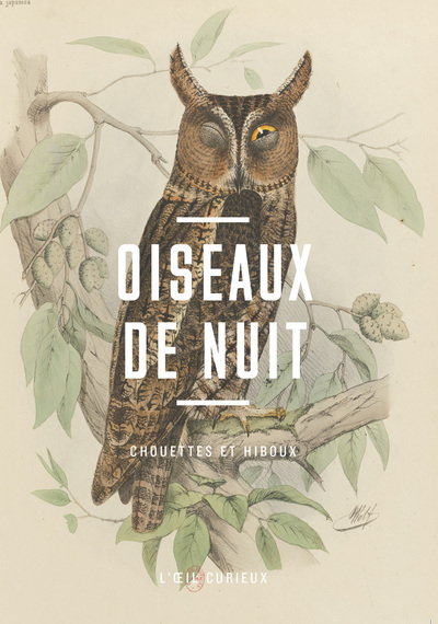 Image de Oiseaux de nuit - Chouettes et hiboux