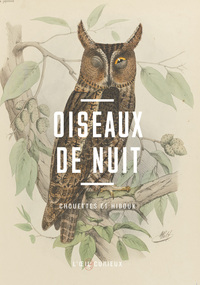Image de Oiseaux de nuit - Chouettes et hiboux