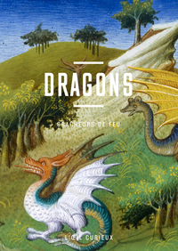 Picture of Dragons - Cracheurs de feu