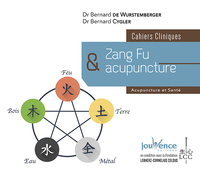 Image de Zang fu & acupuncture