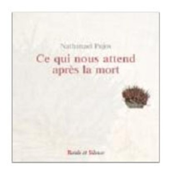 Image de Ce qui nous attend apres la mort