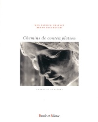 Picture of chemins de contemplation