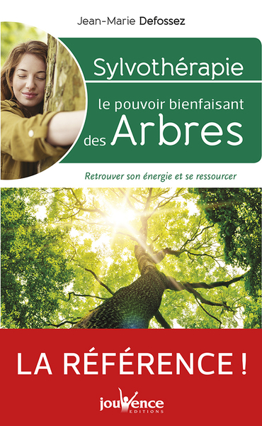 Image de Sylvothérapie : Le pouvoir bienfaisant des arbres