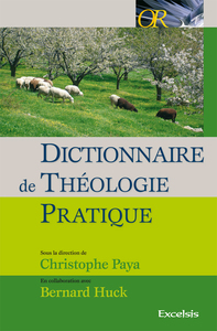 Image de Dictionnaire de théologie pratique