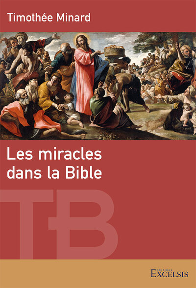 Image de Les miracles dans la Bible