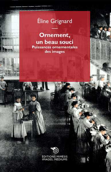Picture of Ornement, un beau souci
