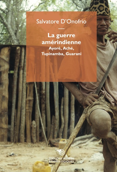 Image de La guerre amérindienne