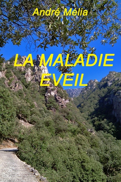 Image de LA MALADIE EVEIL