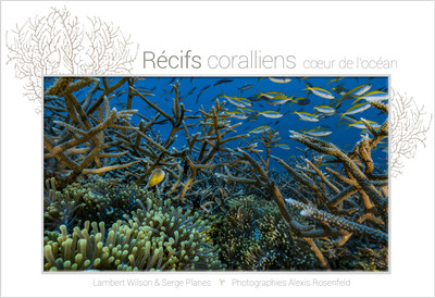 Image de RECIFS CORALLIENS, COEUR DE L'OCEAN