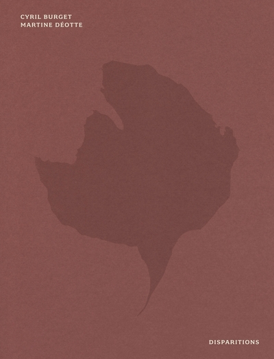 Picture of Disparitions