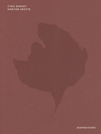 Picture of Disparitions