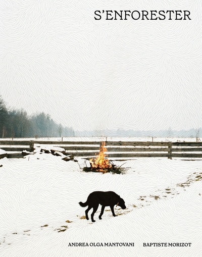 Image de S'enforester