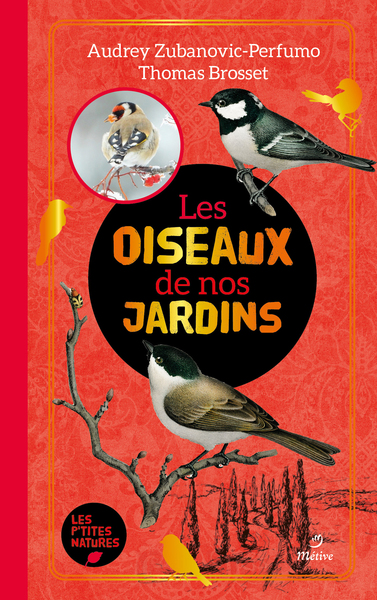 Picture of Les oiseaux de nos jardins