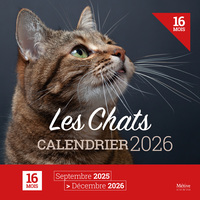 Picture of Les Chats - Calendrier 2026