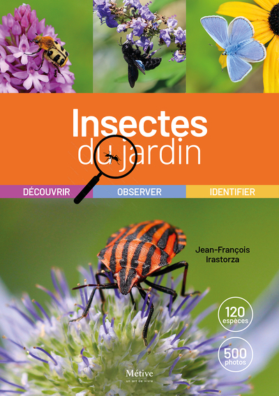 Picture of Les insectes du jardin