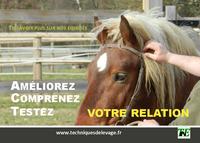 Image de Améliorez, Comprenez, Testez votre relation. En savoir plus sur nos équidés