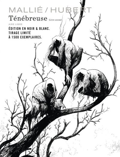 Picture of Ténébreuse - Tome 2