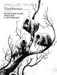 Image de Ténébreuse - Tome 2