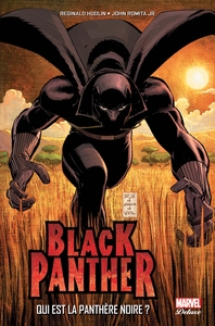 Image de Black Panthère Qui est la panthère noire T01