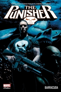 Image de PUNISHER T04
