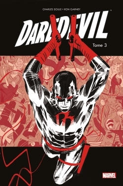 Image de Daredevil T03