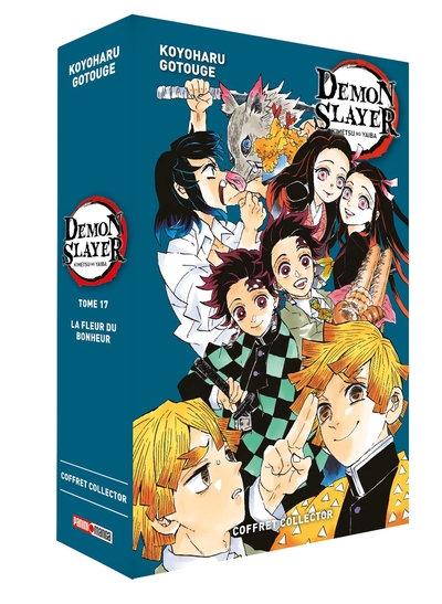 Image de Demon Slayer - Coffret (T17 + Roman N°01)