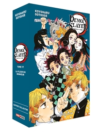 Image de Demon Slayer - Coffret (T17 + Roman N°01)