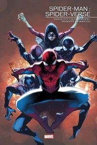 Image de Spider-Man: Spider-Verse