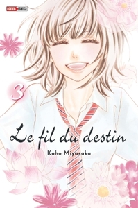 Image de Le fil du destin T03