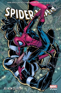 Image de Spider-Man : au nom du fils