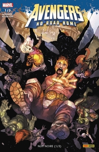 Image de Avengers: No Road Home N°01