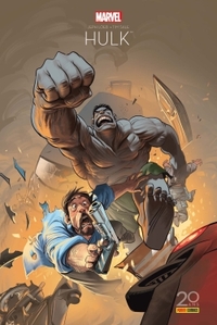 Image de Hulk gris Ed 20 ans